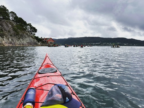 Une scène sereine de kayak, montrant des fjords étonnants et des paysages verdoyants sous un ciel bleu clair.