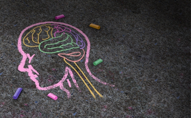 chalk drawing of human brain on sidewalk