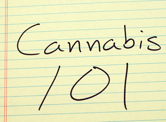 Voir plus clair sur le cannabis : qu’est-ce que le vapotage?