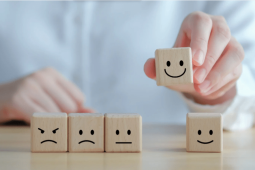 wooden blocks with faces drawn on them / blocs de bois sur lesquels sont dessinés des visages