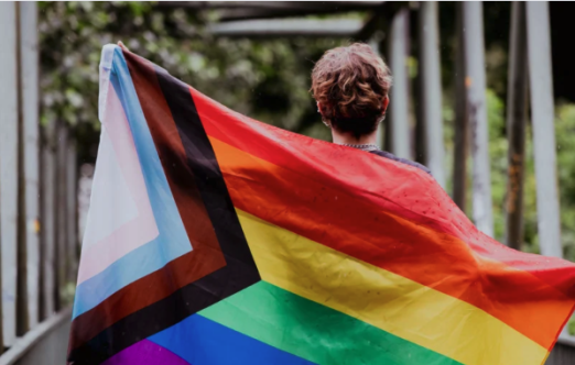 person facing away from the camera holding a progressive pride flag