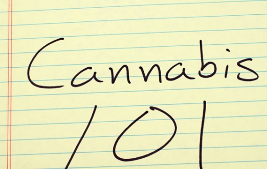 Voir plus clair sur le cannabis : qu’est-ce que le vapotage?